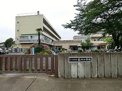 さいたま市立芝川小学校 320m(徒歩4分)