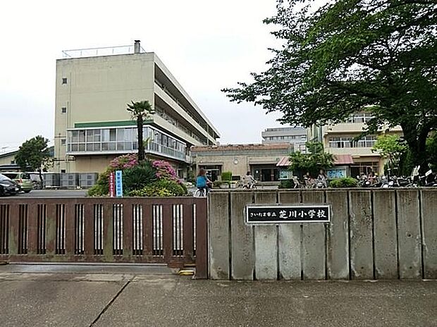 さいたま市立芝川小学校(約320m)