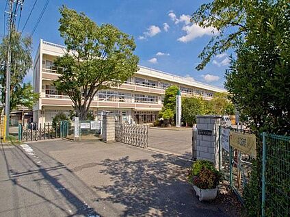 蓮田市立蓮田中央小学校 260m(徒歩4分)