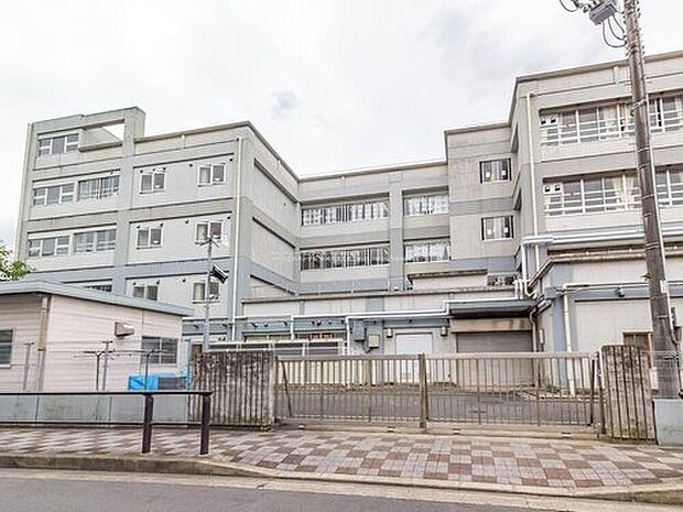 川崎市立高津小学校（約850m）