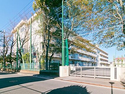 横浜市立瀬谷さくら小学校 550ｍ(徒歩7分)