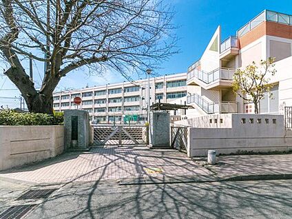 横浜市立市沢小学校 450m(徒歩6分)