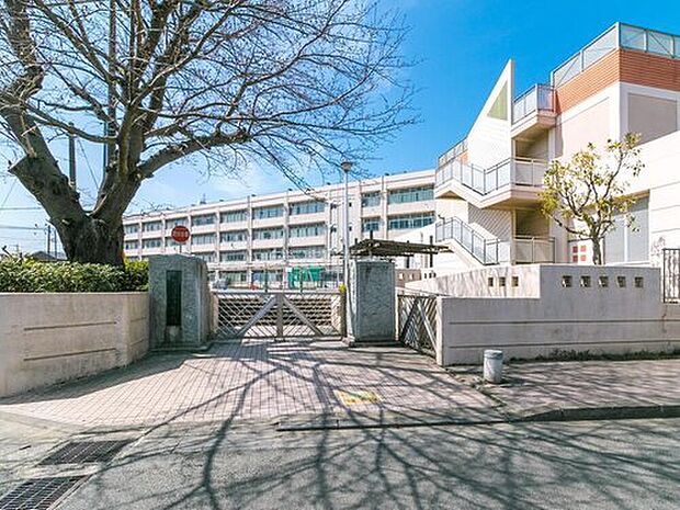 横浜市立市沢小学校（約450m）