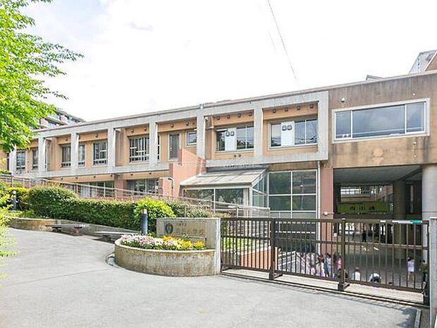 川崎市立向丘小学校(約990m)