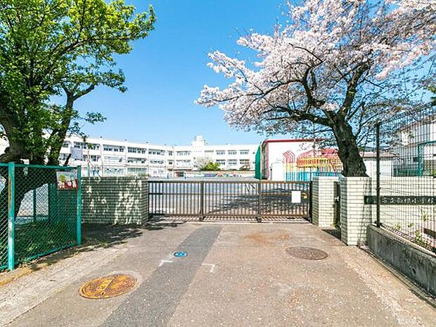 横浜市立白根小学校（約750m）