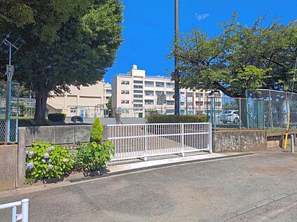 横浜市立荏田小学校 600m(徒歩8分)