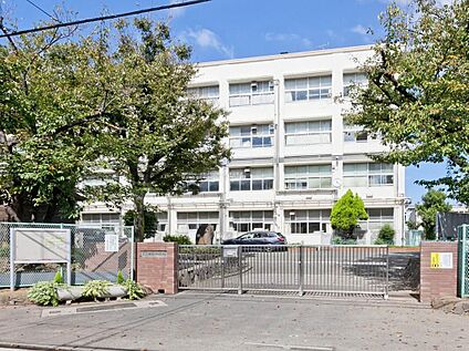 横浜市立樽町中学校 1900ｍ(徒歩24分・自転車8分)