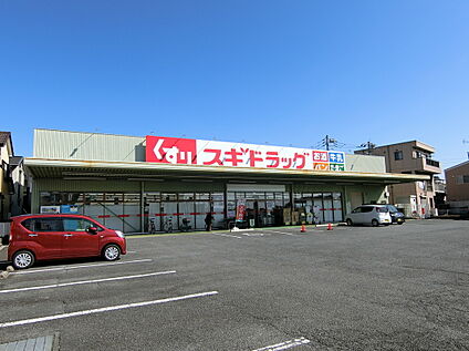 スギドラッグ 650m