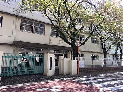 伝馬町小学校 現地から1100m。(徒歩14分。)