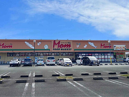 フードマーケットマム高丘東店 現地から900m～950m。(徒歩12分。(最長))