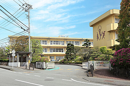 長泉町立長泉小学校 現地から900m～930m。(徒歩12分。(最長))