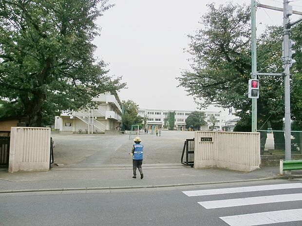 保谷小学校