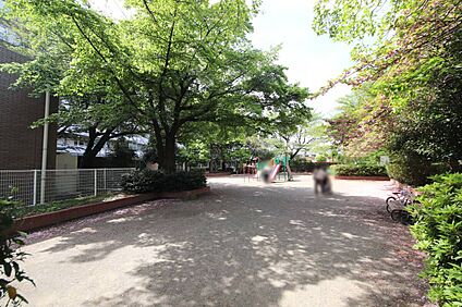 ひばりが丘公園 約479m