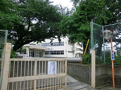 神宝小学校 約600m