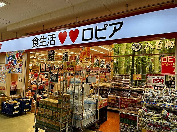 ロピア大和郡山店(約1,086m)