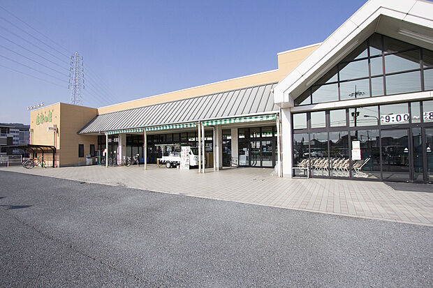 主婦の店 岡田店
