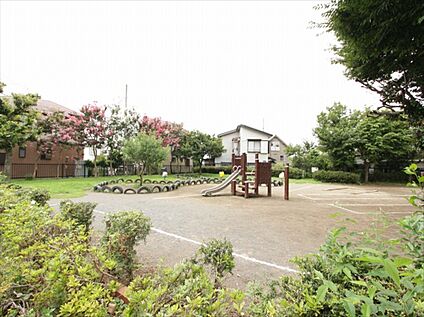 新座市立新開小学校 約200-300ｍ(徒歩3-4分)