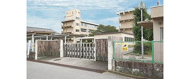 細谷小学校(約980m)