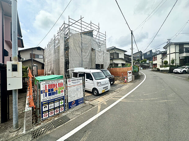 現地写真（6/19撮影）　