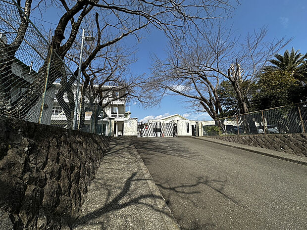 沢田小学校（約1,100m）