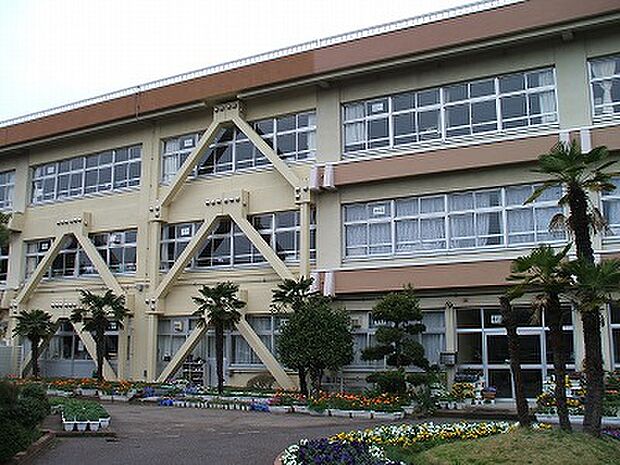 柏市立柏第七小学校（約976m）