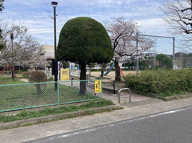若宮公園（約400m）