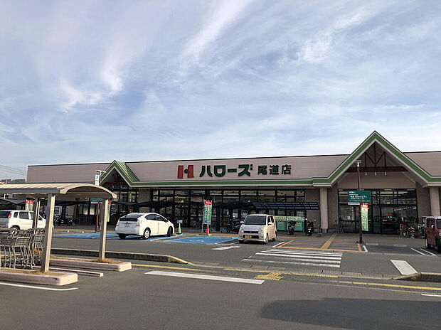 ハローズ尾道店
