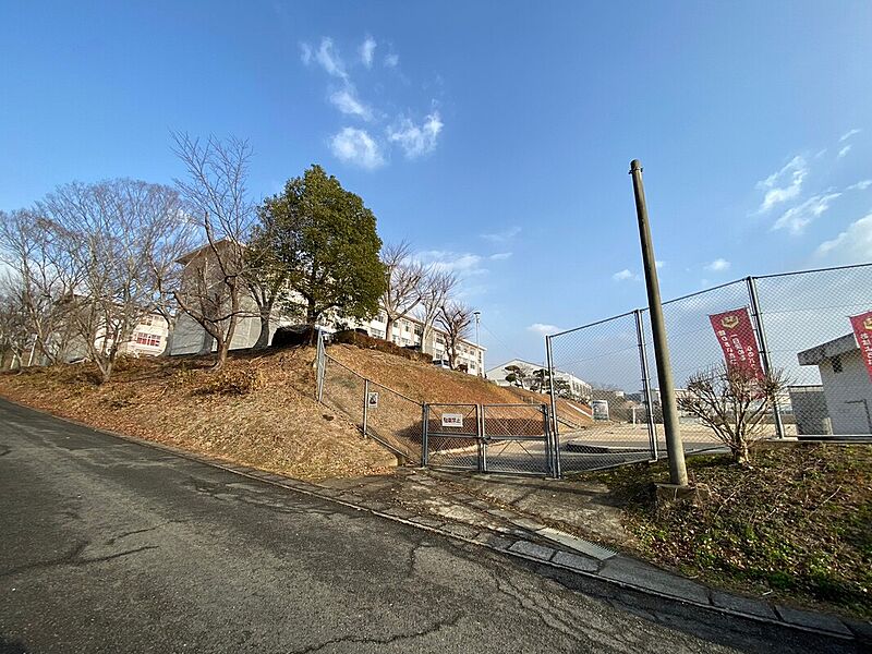 【学校】花高小学校