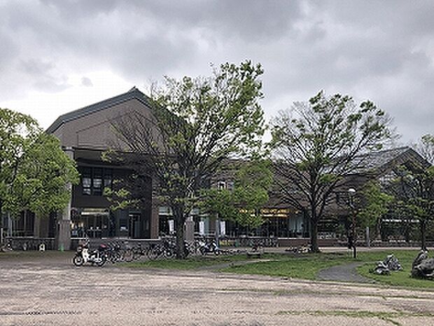 どんどんどんの森(約500m)