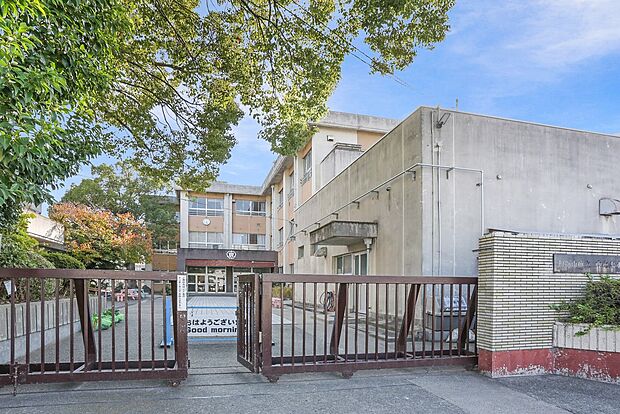 和歌山市立中之島小学校(約470m)