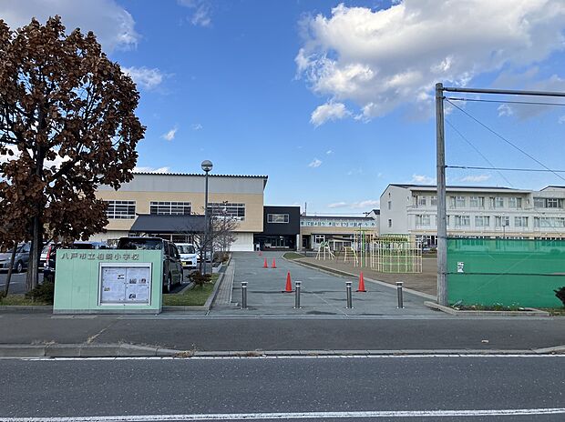 柏崎小学校（約1,300m）