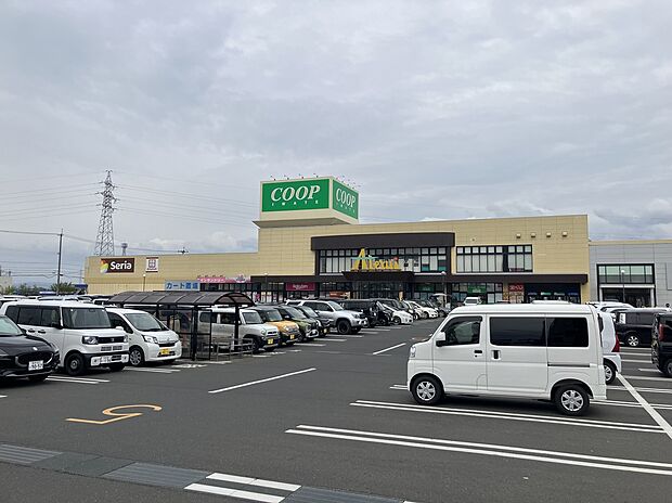 コープ水沢店(約1,000m)