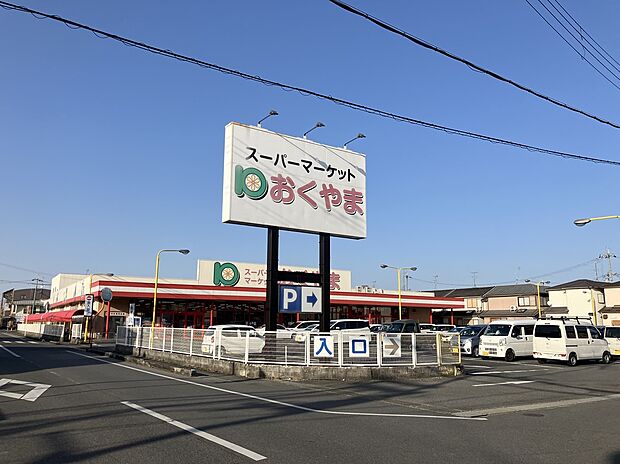 スーパーおくやま新町店(約750m)