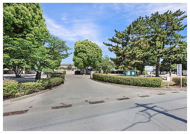 久留米市立荒木小学校(約1,500m)