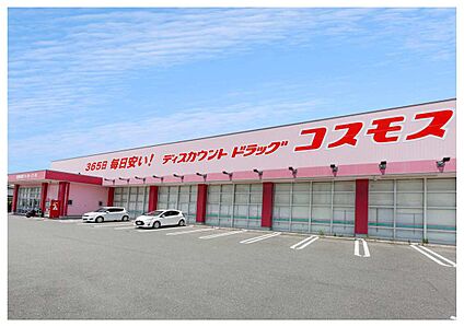 ドラッグストアコスモス 国分バイパス店 1700m(徒歩22分)