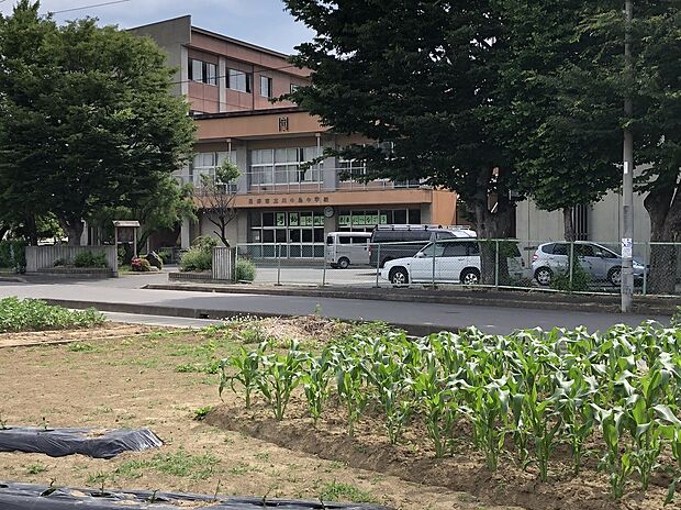 長野市立川中島中学校(約930m)