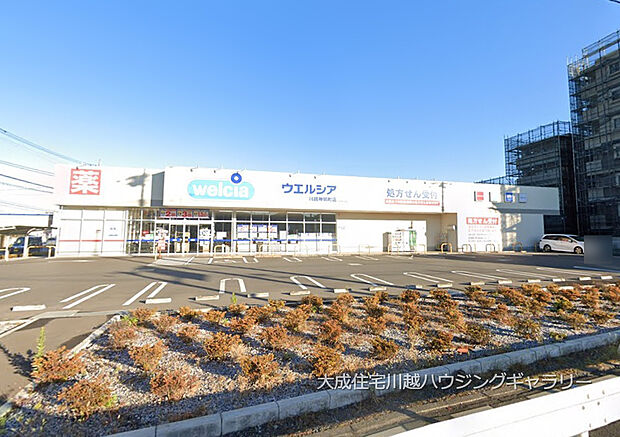 ウエルシア川越神明町店（約550m）