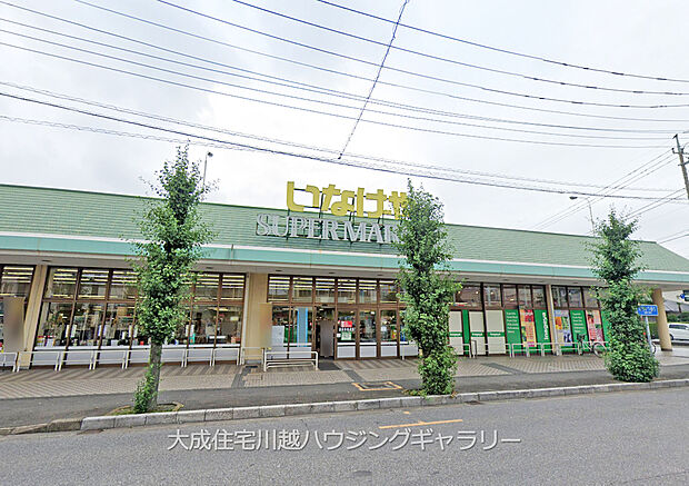 いなげや新河岸店(約700m)
