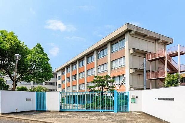 市立国松緑丘小学校 徒歩2分(約140m)
学校が身近にあるため、毎日の登下校もスムーズで、子育て世帯にも嬉しい立地です。