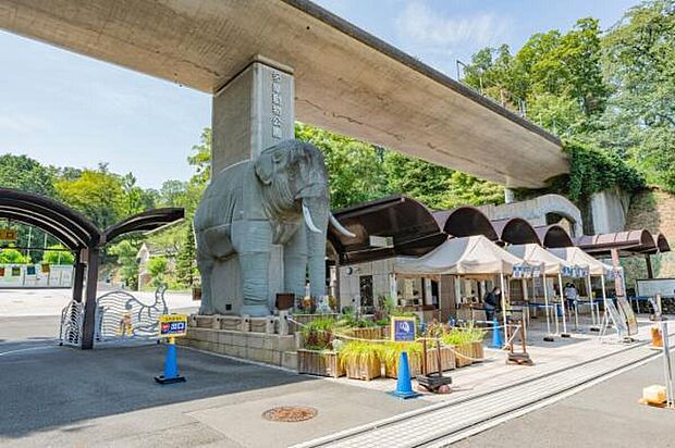 【多摩動物公園】檻のない広大な敷地で、動物の自然な姿を観察できる動物園。大迫力のライオンバスや昆虫園など、何度訪れても飽きない見どころが満載です。