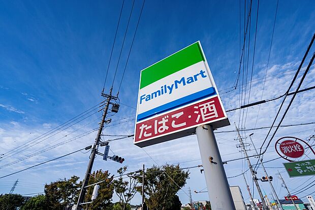 ファミリーマート岡崎竜美南店（約270m）