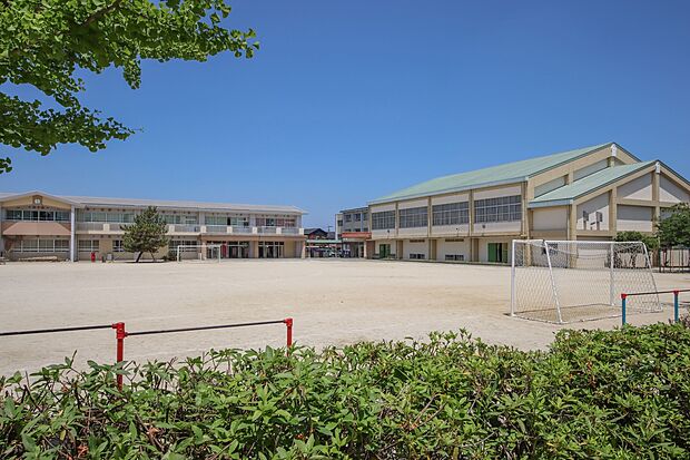 荒木小学校（約2,000m）