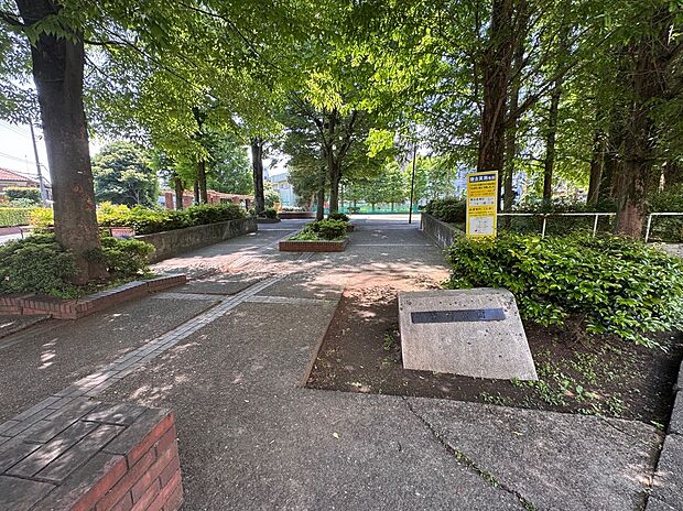 長野公園(約600m)