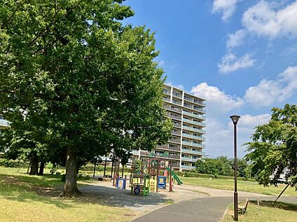豊四季台公園 510ｍ(徒歩7分)