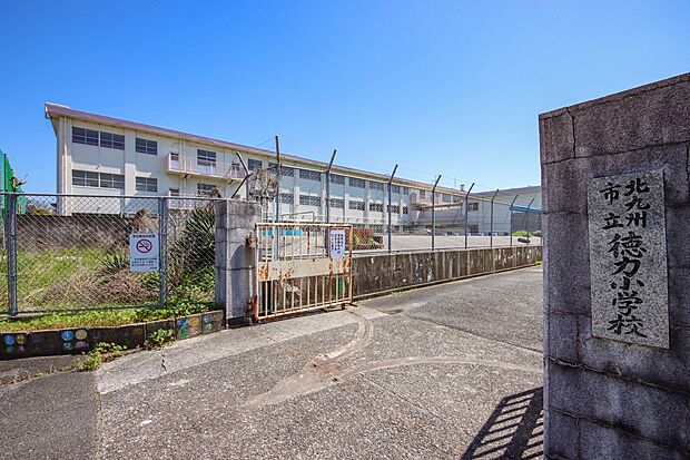 徳力小学校(約800m)