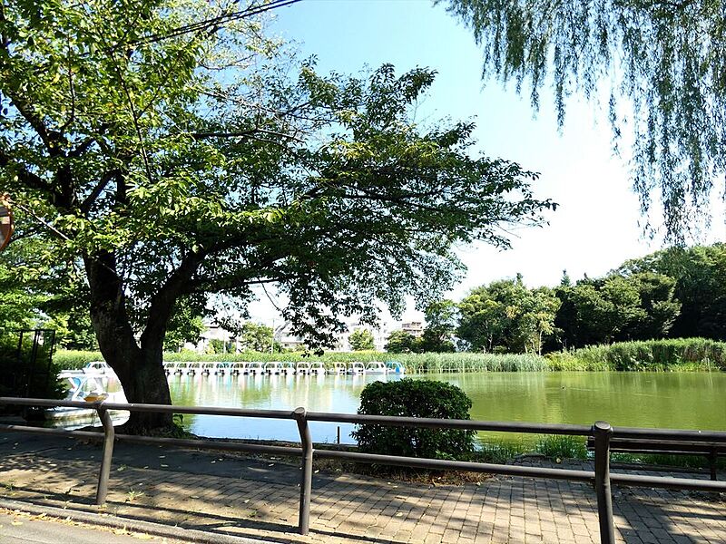 2つの池がある「石神井公園」で武蔵野の自然を存分に楽しめます