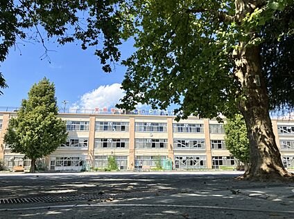 杉並区立桃井第四小学校 約800m(徒歩10分)