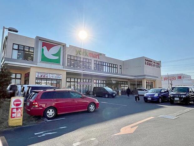 ヨークマート越谷花田店（約700m）