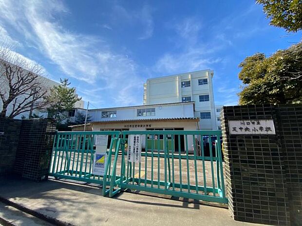 川口市立芝中央小学校(約500m)