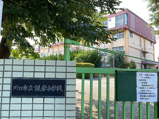 川口市立根岸小学校（約1,200m）